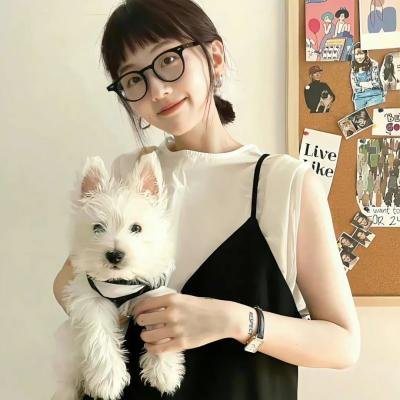 凤鸣笙歌